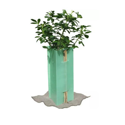 Triangle Corflute Tree Guards Bunnings 5mm Coroplast Plastikowe ochraniacze na drzewa