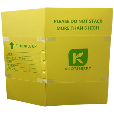 PP Corrugated Plastic Box The Eco-Friendly Alternative to Traditional Materials