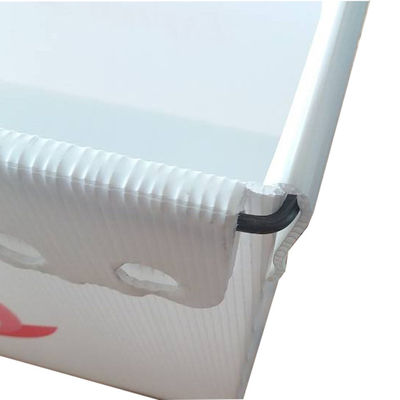 Coroplast 3mm USPS Shipping Plastikowe skrzynki Lekkie Trwałe