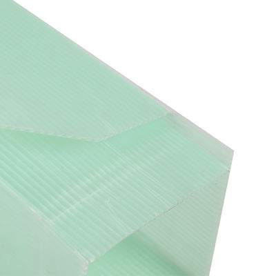 Plastikowe osłony na drzewa z zielonej tektury falistej Coroplast Plastikowa folia na pnie drzewa