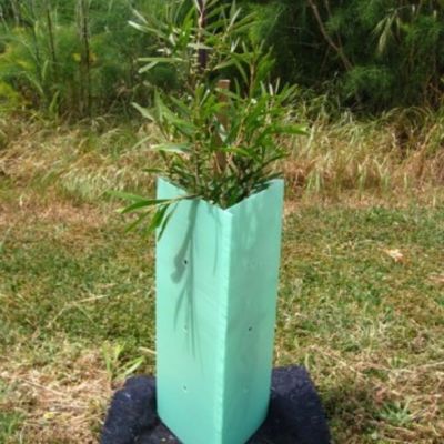 Corflute Folia falista z tworzywa sztucznego na drzewo 2 mm Twarde plastikowe osłony na drzewa