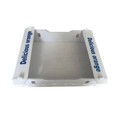 Pełnokolorowe pudełka wysyłkowe Coroplast 3 mm 4 mm Składane plastikowe pudełka z tektury falistej
