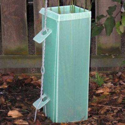 Polipropylenowa plastikowa osłona drzewa Corflute Vine Protectors Anti Impact