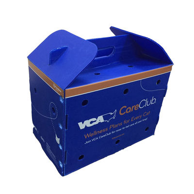 Skrzynka do pakowania owoców, bezpieczna dla żywności, wykonana z polipropylenu, oferująca wodoodporność i odporność na uderzenia, przeznaczona do rozwiązań transportowych owoców.