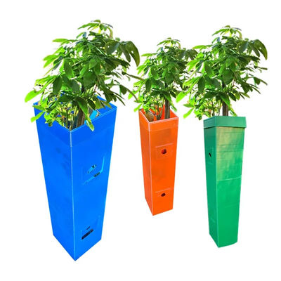 Polopropylen Korflute Tree Guard Walcowany Plastic Vine Protector