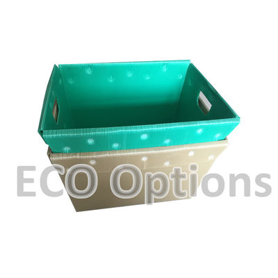 Recykling Pudełka z plastiku falistego PP Pudełka opakowaniowa z koroplastem ECO składana na zamówienie