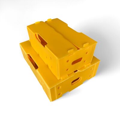 Lekkie i odporne na uderzenia plywoodze PP wykonane z materiału nadającego się do recyklingu, trwałe, wielokrotnie używane i idealne do ekologicznych rozwiązań opakowaniowych.