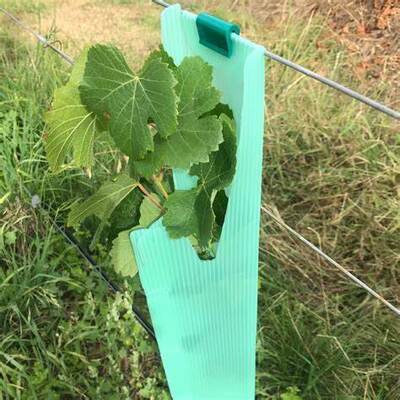 PP Tree Guard jest lekki, trwały, wodoodporny i łatwy w instalacji. Chroni młode drzewa przed wiatrem, zwierzętami i uszkodzeniami, z możliwością dostosowania rozmiarów, kolorów, grubości i wzorów.