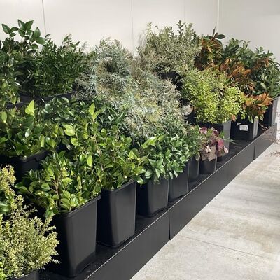 Nasz 10 mm stojak wyświetleniowy jest lekki, trwały i stabilny, idealny do sprzedaży detalicznej, wystaw, promocji i prezentacji produktów.